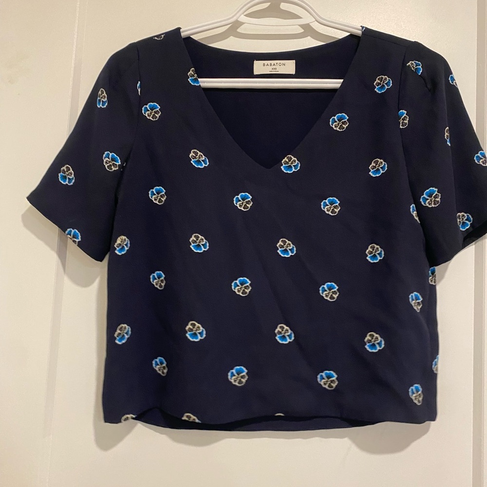 Babaton Aritzia Top